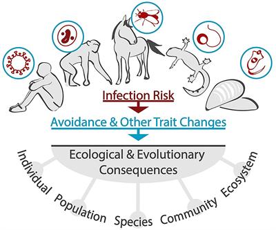 Editorial: Ecology and Evolution of Non-Consumptive Effects in Host-Parasite Interactions